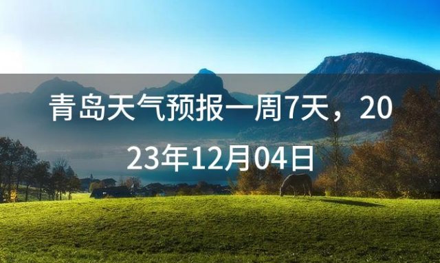 青岛天气预报一周7天，2023年12月04日