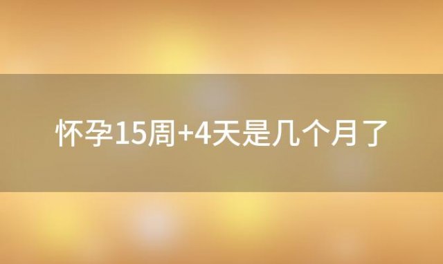 怀孕15周+4天是几个月了