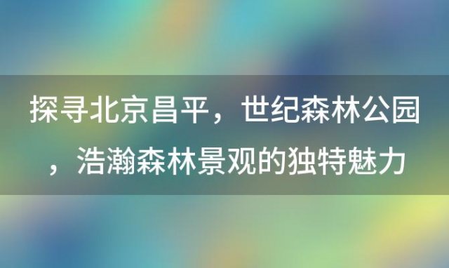 探寻北京昌平：世纪森林公园，浩瀚森林景观的独特魅力