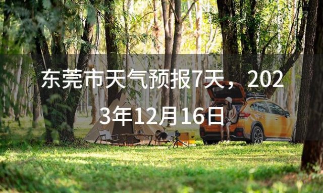 东莞市天气预报7天 2023年12月16日