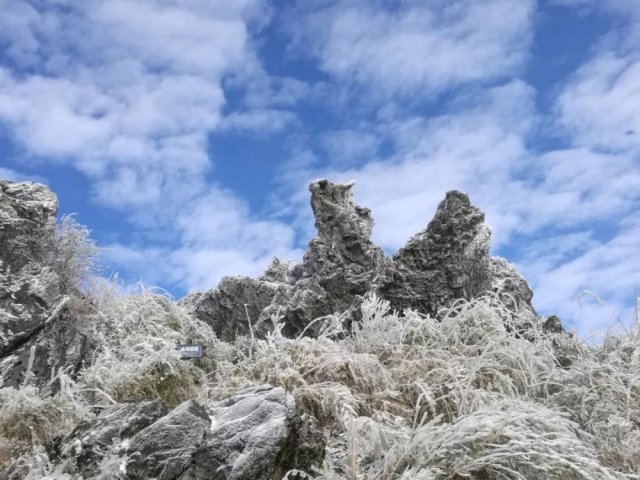 神农架最佳旅游季节是几月，什么月份去神农架旅游最好