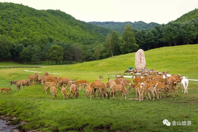 伊春旅游路线(伊春旅游最佳住宿方式)