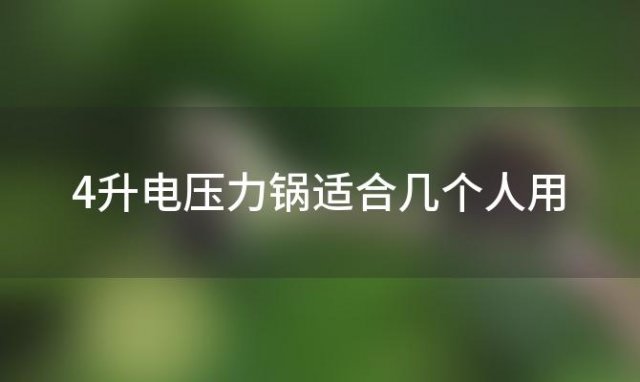 4升电压力锅适合几个人用，5升电压力锅适合3人用吗