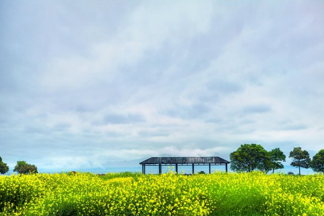 淀山湖风景区旅游景点有哪些景点