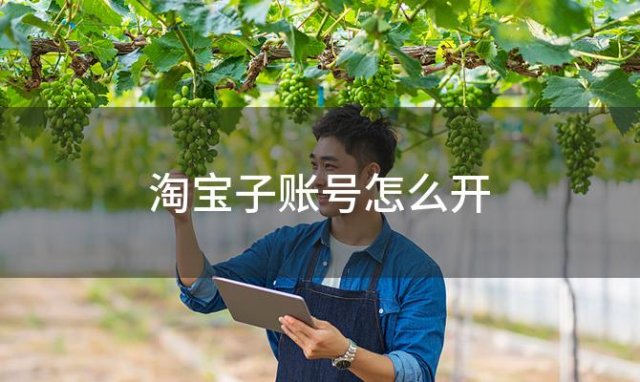 淘宝子账号怎么开(淘宝卖家千牛怎么设置子账号)