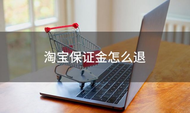 淘宝保证金怎么退 淘宝消费者保证金怎么退出来