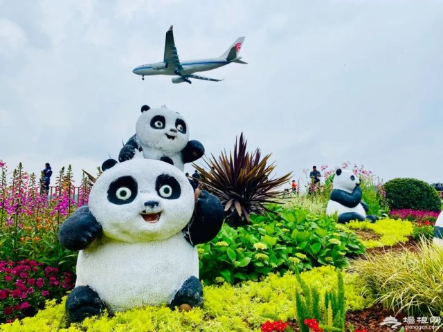 空港花田景区门票「空港花田的门票是多少」