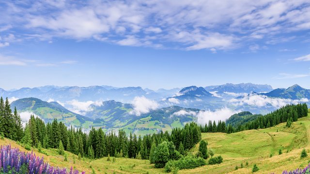 三清山两日游怎么安排 三清山2日游组团