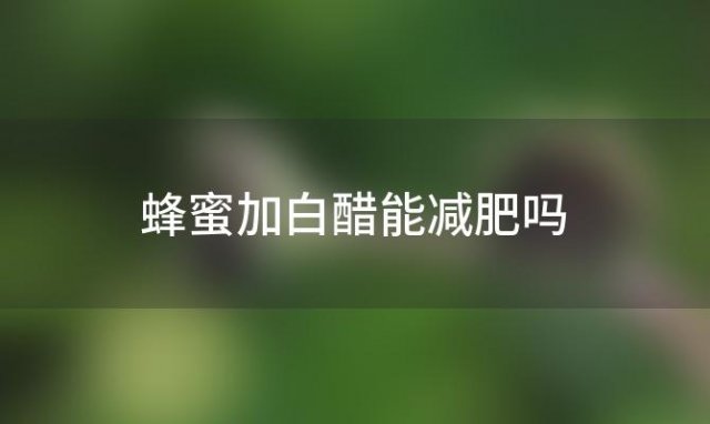 蜂蜜加白醋能减肥吗 蜂蜜白醋怎么喝减肥