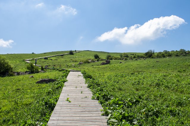 历山舜王坪景区景点有哪些 历山舜王坪景区景点有哪些地方