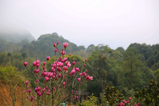 阿婆六村风景区「阿婆六村住宿」