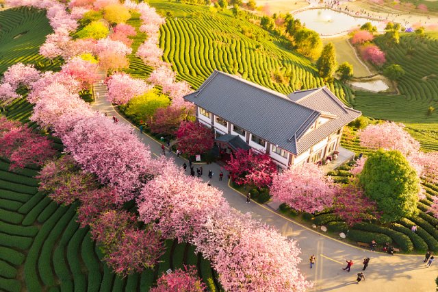 过年重庆旅游住宿建议，春节期间到重庆解放碑住宿哪里更好