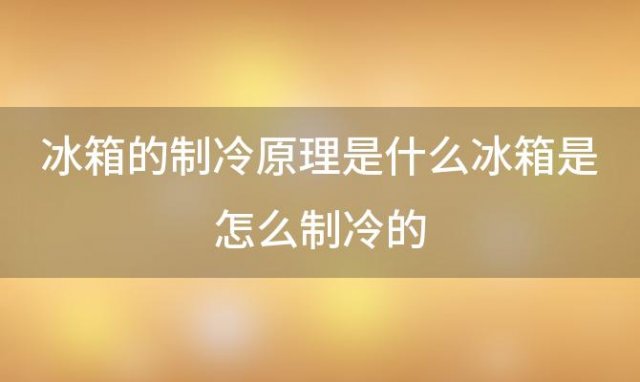 冰箱的制冷原理是什么冰箱是怎么制冷的「冰箱的工作原理是什么」