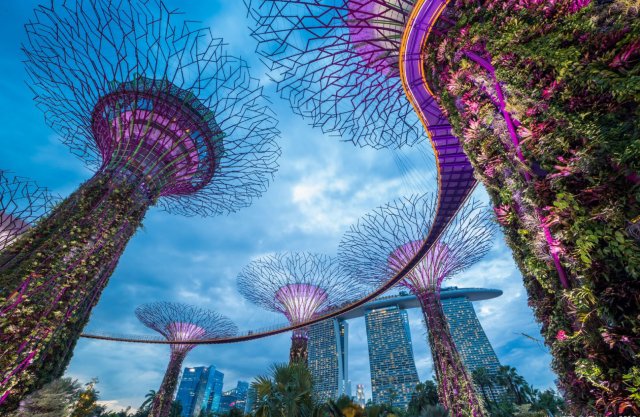 新加坡滨海湾花园花穹顶云雾森林门票