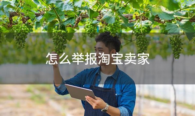 怎么举报淘宝卖家，怎么举报淘宝商家