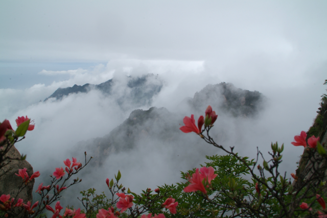 郊游季节九华山还是德茂堂周末不涨价只要299/晚太香