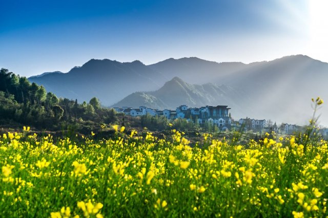 黄山悦榕庄占地面积(黄山悦榕庄平面图)