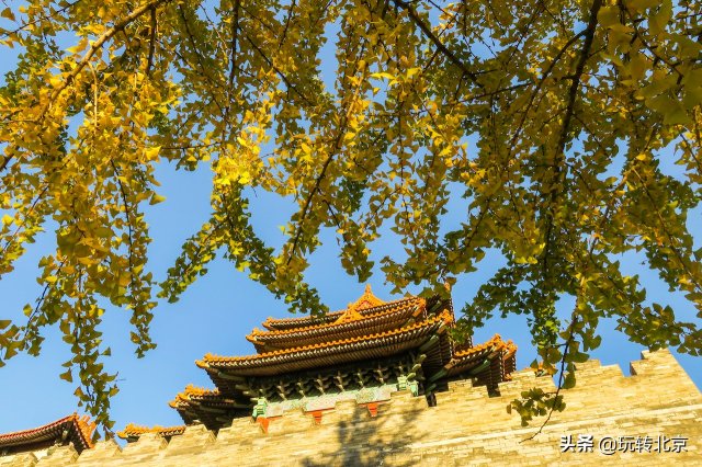 北京周边旅游景点大全(北京周边十个城市旅游)