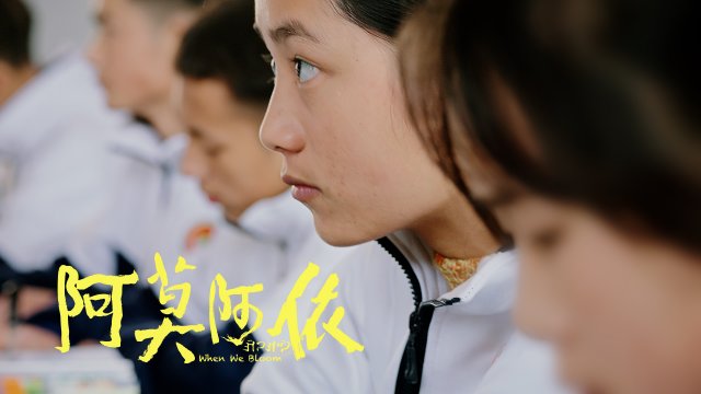 《阿莫阿依》终极物料：揭秘阿依姐弟求学人生，双发震撼来袭