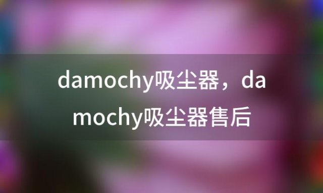 damochy吸尘器 damochy吸尘器售后