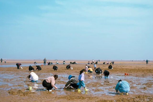 刘家湾赶海园收费吗(刘家湾赶海园潮汐)