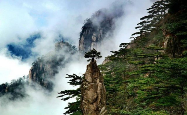 黄山旅游自助攻略(黄山旅游自助游一日游攻略黄山旅游一日游攻略)