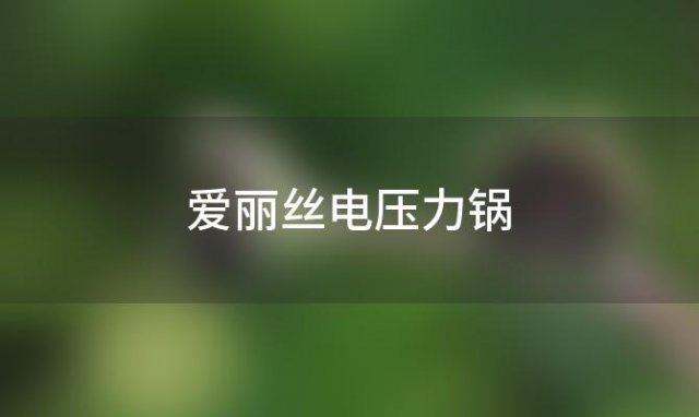 爱丽丝电压力锅(爱丽丝电压力锅好用吗)