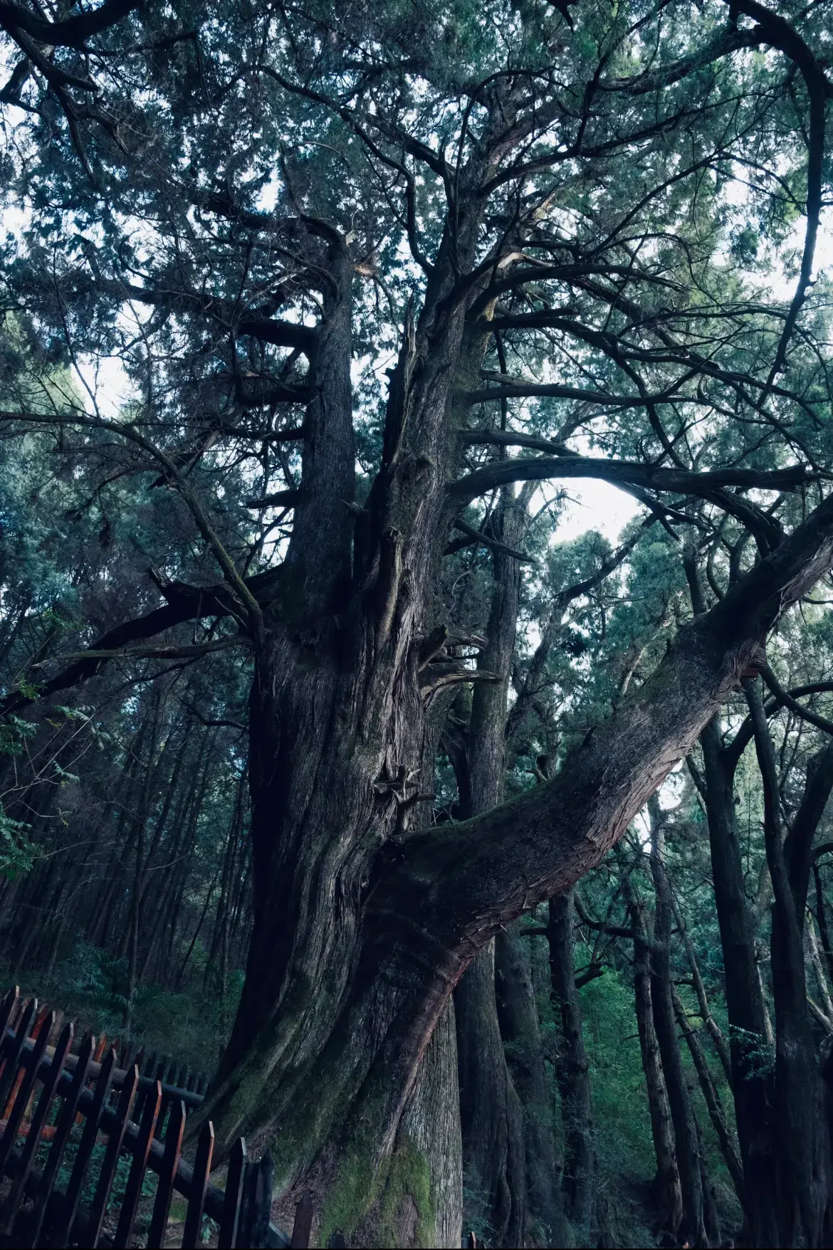 四川广元必去的景点，四川广元景点推荐