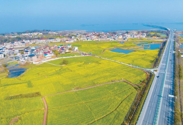 春季赏花旅游景点(春天流行什么花)