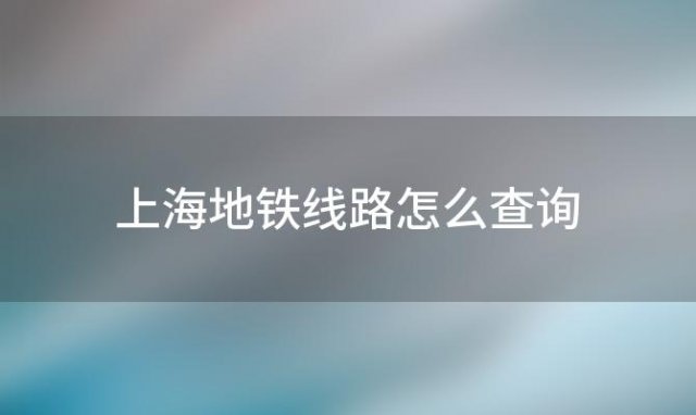 上海地铁线路怎么查询，上海地铁路线