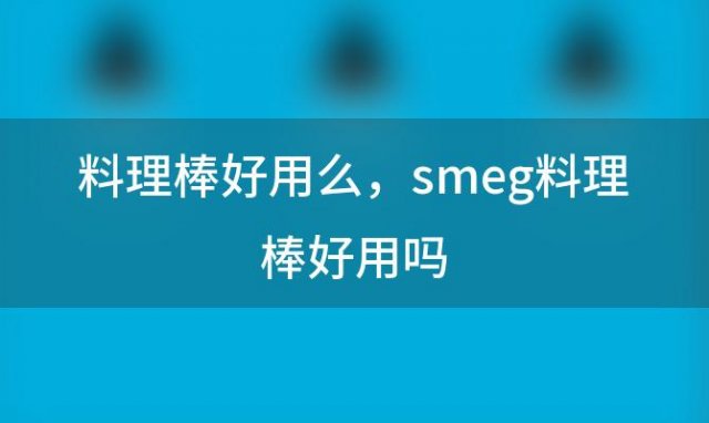 料理棒好用么，smeg料理棒好用吗