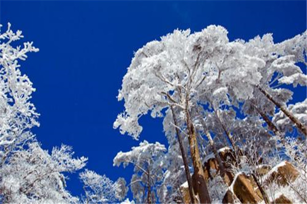 国内冬天适合度假的八个地方是 冬天最适合度假的地方