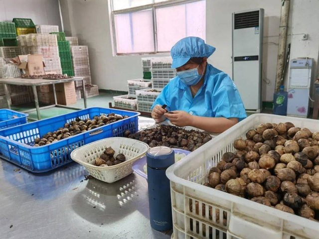 全国豆腐美食大比拼，你的家乡有没有入选十大豆腐特产