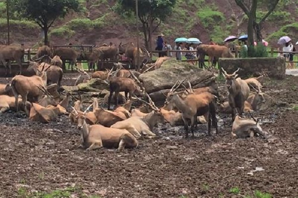 重庆旅游必去景点排名排名