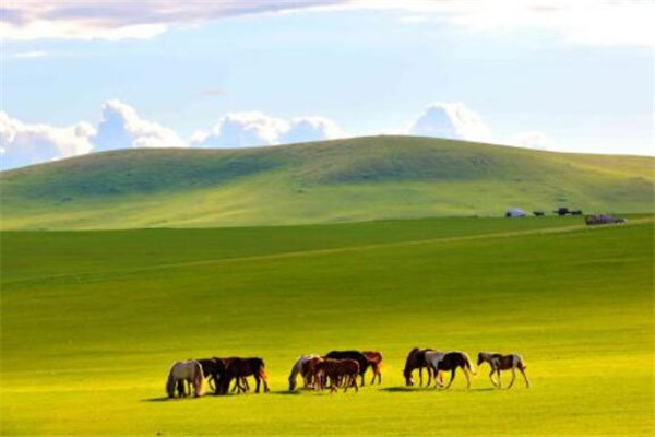 内蒙古有什么好玩的地方「内蒙古有什么好玩的地方景点推荐」
