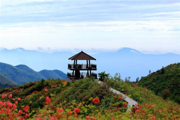 湖南十大名山排名红嘴相思鸟也栖息在这里