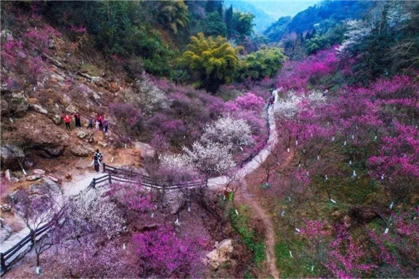 成都旅游必去的景点有哪些「成都旅游必去的网红景点在哪里」