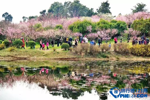 国内十大赏梅胜地排名 国内十大赏梅胜地有哪些