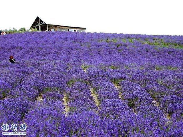 5月份适合去哪里旅游，5月份适合去哪里旅游3天游玩