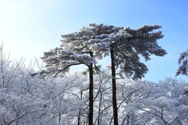 国内旅游推荐11月「国内旅游11月份推荐地方」