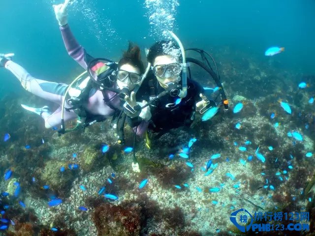 日本最值得去的十大水族馆是(日本最值得去的十大水族馆有哪些)