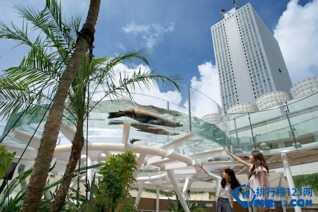 日本最值得去的十大水族馆是(日本最值得去的十大水族馆有哪些)