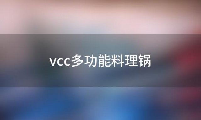 vcc多功能料理锅(bruno多功能料理锅)