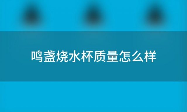 鸣盏烧水杯质量怎么样(鸣盏煮茶器质量怎么样好用吗)