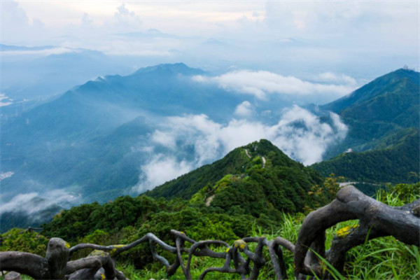 广东十大热门景点几个