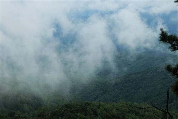 鹤岗有什么好玩的地方吗 鹤岗有什么好玩的地方旅游景点