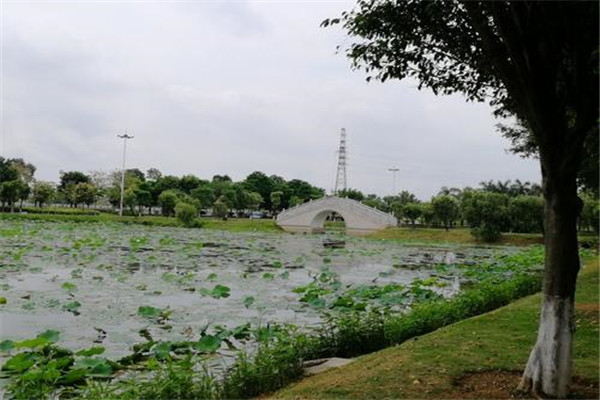 中山十大公园广场排名山坡上还有一个纪念馆