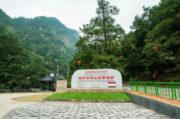 中国十大最美森林绍兴会稽山千年香薰木月华景区