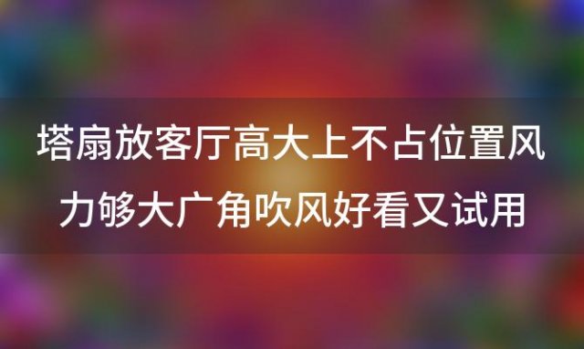 塔扇放客厅高大上不占位置风力够大广角吹风好看又试用