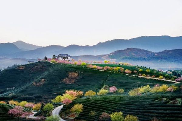 12月旅游国内最佳地，一二月旅游国内哪里好